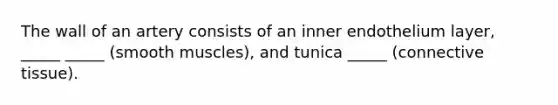 The wall of an artery consists of an inner endothelium layer, _____ _____ (smooth muscles), and tunica _____ (<a href='https://www.questionai.com/knowledge/kYDr0DHyc8-connective-tissue' class='anchor-knowledge'>connective tissue</a>).