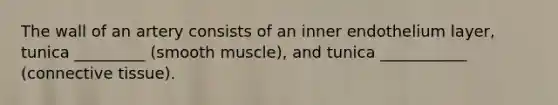 The wall of an artery consists of an inner endothelium layer, tunica _________ (smooth muscle), and tunica ___________ (connective tissue).