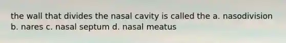 the wall that divides the nasal cavity is called the a. nasodivision b. nares c. nasal septum d. nasal meatus