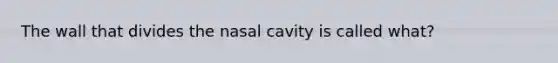 The wall that divides the nasal cavity is called what?