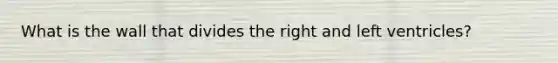 What is the wall that divides the right and left ventricles?