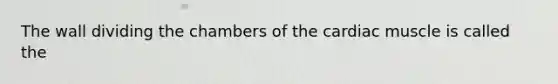 The wall dividing the chambers of the cardiac muscle is called the