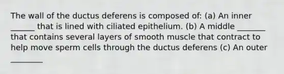 The wall of the ductus deferens is composed of: (a) An inner ______ that is lined with ciliated epithelium. (b) A middle _______ that contains several layers of smooth muscle that contract to help move sperm cells through the ductus deferens (c) An outer ________