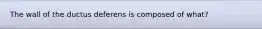 The wall of the ductus deferens is composed of what?