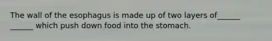 The wall of the esophagus is made up of two layers of______ ______ which push down food into the stomach.