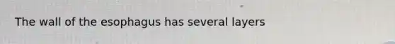 The wall of the esophagus has several layers