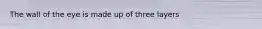 The wall of the eye is made up of three layers