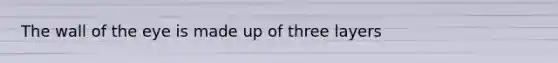 The wall of the eye is made up of three layers