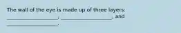 The wall of the eye is made up of three layers: ____________________, ____________________, and ____________________.