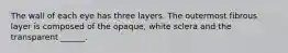 The wall of each eye has three layers. The outermost fibrous layer is composed of the opaque, white sclera and the transparent ______.