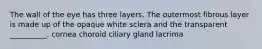 The wall of the eye has three layers. The outermost fibrous layer is made up of the opaque white sclera and the transparent __________. cornea choroid ciliary gland lacrima