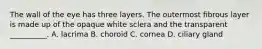 The wall of the eye has three layers. The outermost fibrous layer is made up of the opaque white sclera and the transparent __________. A. lacrima B. choroid C. cornea D. ciliary gland