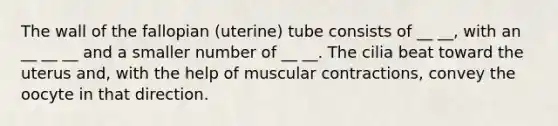 The wall of the fallopian (uterine) tube consists of __ __, with an __ __ __ and a smaller number of __ __. The cilia beat toward the uterus and, with the help of muscular contractions, convey the oocyte in that direction.