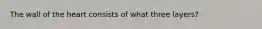 The wall of the heart consists of what three layers?