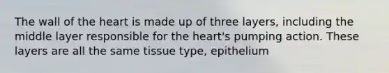 The wall of the heart is made up of three layers, including the middle layer responsible for the heart's pumping action. These layers are all the same tissue type, epithelium