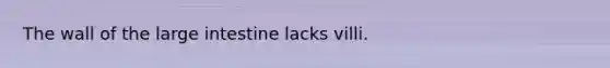 The wall of the large intestine lacks villi.