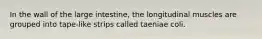 In the wall of the large intestine, the longitudinal muscles are grouped into tape-like strips called taeniae coli.