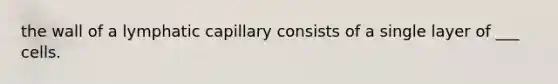 the wall of a lymphatic capillary consists of a single layer of ___ cells.