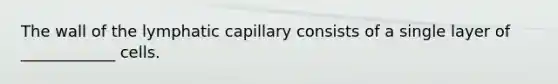 The wall of the lymphatic capillary consists of a single layer of ____________ cells.