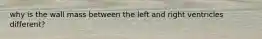 why is the wall mass between the left and right ventricles different?