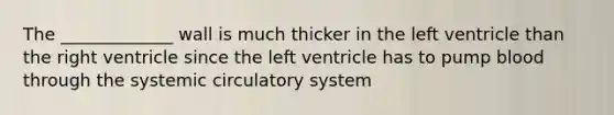 The _____________ wall is much thicker in the left ventricle than the right ventricle since the left ventricle has to pump blood through the systemic circulatory system