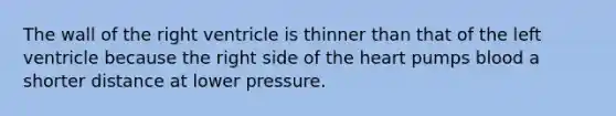 The wall of the right ventricle is thinner than that of the left ventricle because the right side of <a href='https://www.questionai.com/knowledge/kya8ocqc6o-the-heart' class='anchor-knowledge'>the heart</a> pumps blood a shorter distance at lower pressure.