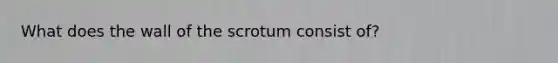 What does the wall of the scrotum consist of?