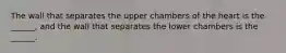 The wall that separates the upper chambers of the heart is the ______, and the wall that separates the lower chambers is the ______.