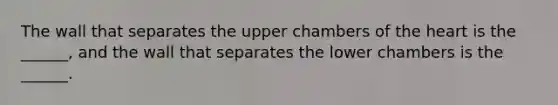 The wall that separates the upper chambers of <a href='https://www.questionai.com/knowledge/kya8ocqc6o-the-heart' class='anchor-knowledge'>the heart</a> is the ______, and the wall that separates the lower chambers is the ______.