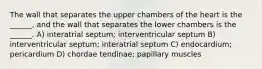 The wall that separates the upper chambers of the heart is the ______, and the wall that separates the lower chambers is the ______. A) interatrial septum; interventricular septum B) interventricular septum; interatrial septum C) endocardium; pericardium D) chordae tendinae; papillary muscles