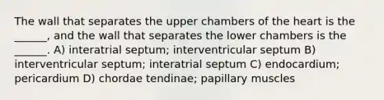 The wall that separates the upper chambers of the heart is the ______, and the wall that separates the lower chambers is the ______. A) interatrial septum; interventricular septum B) interventricular septum; interatrial septum C) endocardium; pericardium D) chordae tendinae; papillary muscles