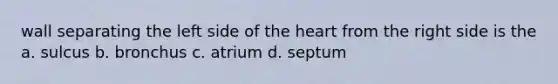 wall separating the left side of the heart from the right side is the a. sulcus b. bronchus c. atrium d. septum