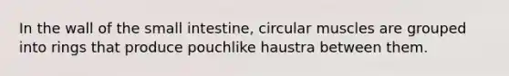 In the wall of the small intestine, circular muscles are grouped into rings that produce pouchlike haustra between them.