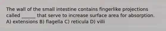 The wall of the small intestine contains fingerlike projections called ______ that serve to increase surface area for absorption. A) extensions B) flagella C) reticula D) villi