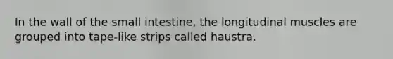 In the wall of <a href='https://www.questionai.com/knowledge/kt623fh5xn-the-small-intestine' class='anchor-knowledge'>the small intestine</a>, the longitudinal muscles are grouped into tape-like strips called haustra.