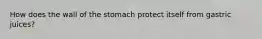 How does the wall of the stomach protect itself from gastric juices?