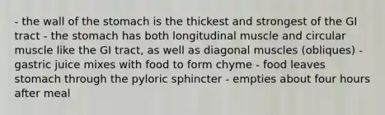 - the wall of the stomach is the thickest and strongest of the GI tract - the stomach has both longitudinal muscle and circular muscle like the GI tract, as well as diagonal muscles (obliques) - gastric juice mixes with food to form chyme - food leaves stomach through the pyloric sphincter - empties about four hours after meal