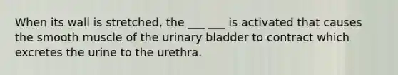 When its wall is stretched, the ___ ___ is activated that causes the smooth muscle of the urinary bladder to contract which excretes the urine to the urethra.