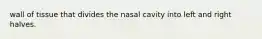 wall of tissue that divides the nasal cavity into left and right halves.