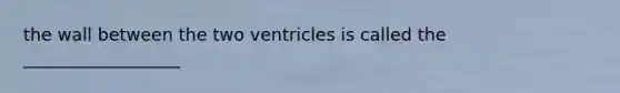 the wall between the two ventricles is called the __________________