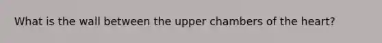 What is the wall between the upper chambers of the heart?