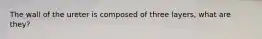 The wall of the ureter is composed of three layers, what are they?