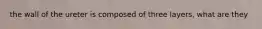 the wall of the ureter is composed of three layers, what are they