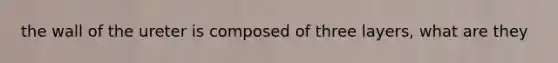 the wall of the ureter is composed of three layers, what are they