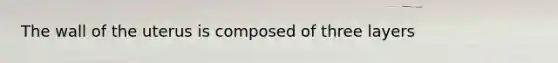 The wall of the uterus is composed of three layers