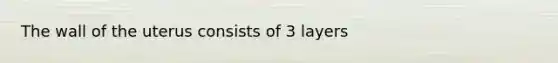 The wall of the uterus consists of 3 layers