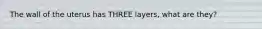 The wall of the uterus has THREE layers, what are they?