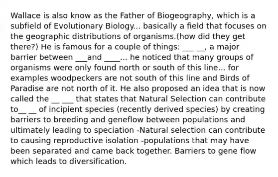 Wallace is also know as the Father of Biogeography, which is a subfield of Evolutionary Biology... basically a field that focuses on the geographic distributions of organisms.(how did they get there?) He is famous for a couple of things: ___ __, a major barrier between ___and ____... he noticed that many groups of organisms were only found north or south of this line... for examples woodpeckers are not south of this line and Birds of Paradise are not north of it. He also proposed an idea that is now called the __ ___ that states that Natural Selection can contribute to__ __ of incipient species (recently derived species) by creating barriers to breeding and geneflow between populations and ultimately leading to speciation -Natural selection can contribute to causing reproductive isolation -populations that may have been separated and came back together. Barriers to gene flow which leads to diversification.