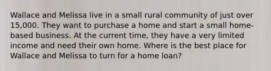 Wallace and Melissa live in a small rural community of just over 15,000. They want to purchase a home and start a small home-based business. At the current time, they have a very limited income and need their own home. Where is the best place for Wallace and Melissa to turn for a home loan?