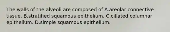 The walls of the alveoli are composed of A.areolar connective tissue. B.stratified squamous epithelium. C.ciliated columnar epithelium. D.simple squamous epithelium.